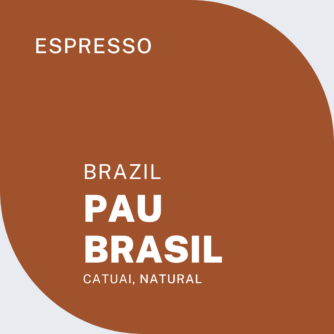 Pau Brasil